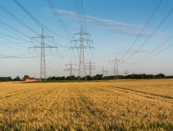 power lines out in field